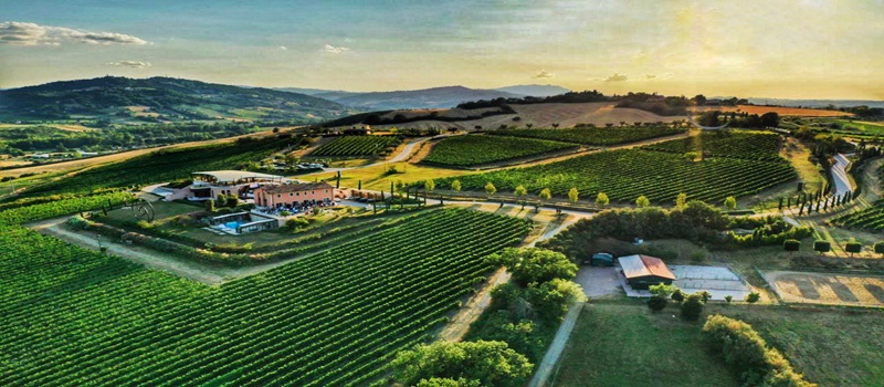 WINE & WELLNESS 2 notti con esperienza a Tenuta Mara 